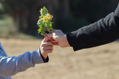 Cropped hand of couple holding flowers