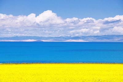 Scenic view of field against cloudy sky