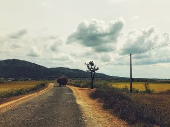 Road amidst field against sky