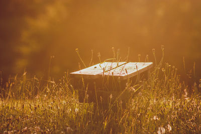 Grass on field by boat moored on shore against sky