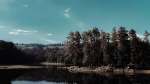 Scenic view of lake in forest against sky