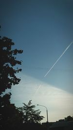 Low angle view of tree against blue sky