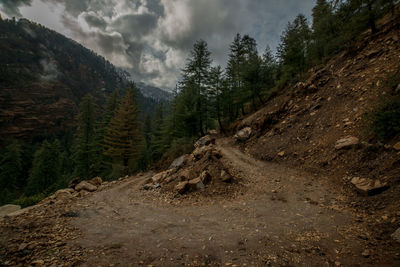 Scenic view of pine trees and mountains against sky