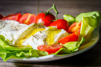 Close-up of salad served in plate