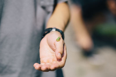 Close-up of woman hand holding small frog