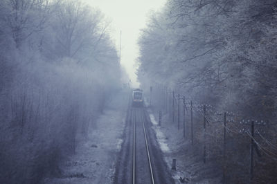 Railroad tracks and backlights of passenger train amidst trees during winter