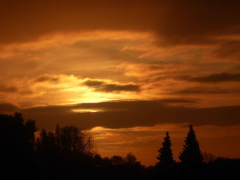 Silhouette trees against orange sky