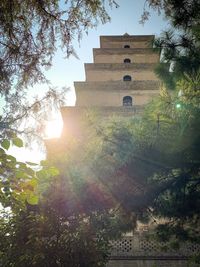 Low angle view of trees and building against sky