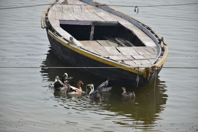 High angle view of ducks swimming in lake