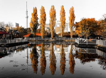 Reflection of trees in lake against sky in city