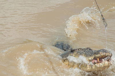 Close-up of wave splashing on beach