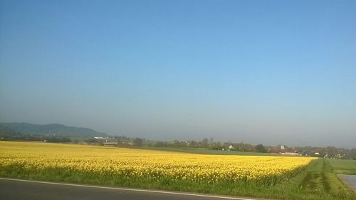 Scenic view of rural landscape