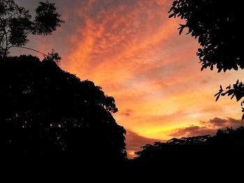 Silhouette trees against orange sky