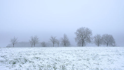 Trees on snow covered field against sky