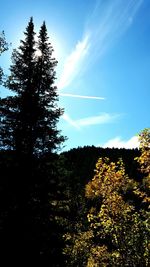 Scenic view of landscape against blue sky