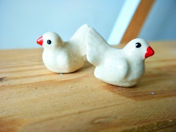 Close-up of a bird on wooden table