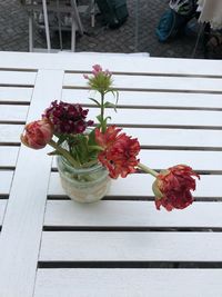 High angle view of flower pot on table