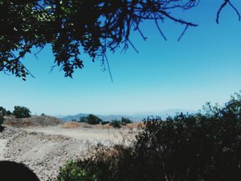 Scenic view of beach against clear blue sky