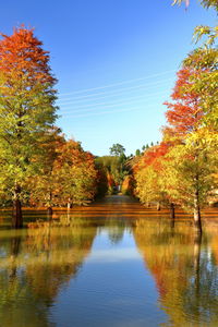 Trees by lake against sky during autumn