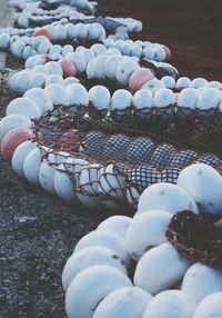 Close-up of seashells