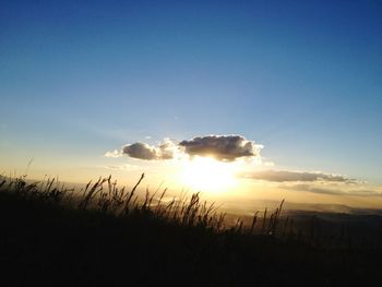 Sun shining over landscape