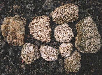 High angle view of stones