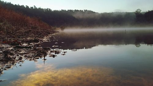 Reflection of trees in calm lake