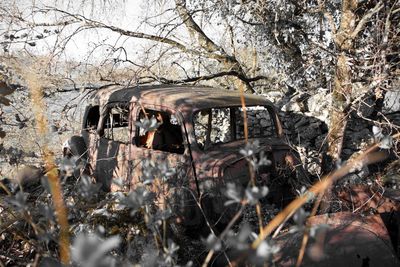 Abandoned car on land