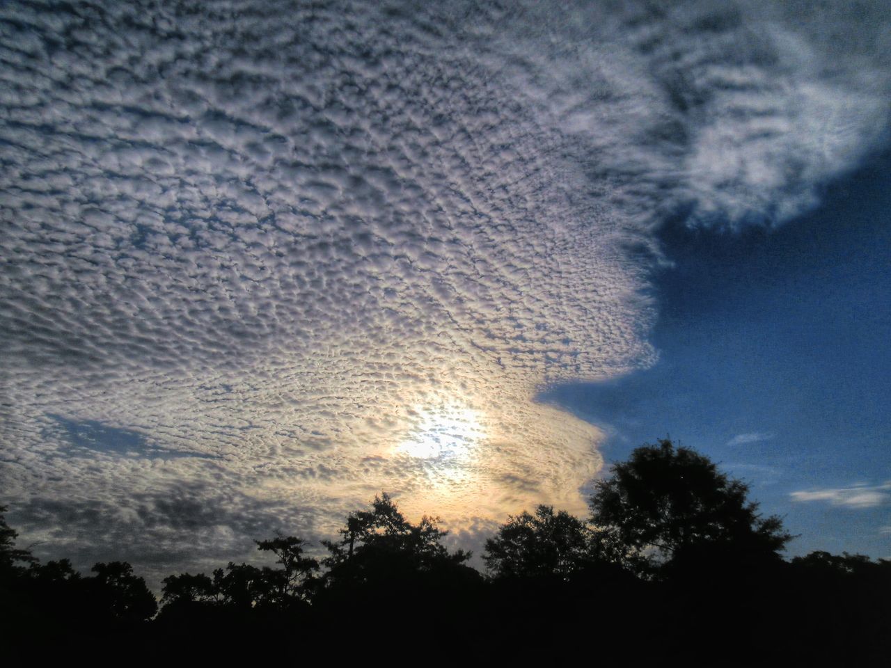 silhouette, sky, tranquility, beauty in nature, scenics, cloud - sky, tranquil scene, low angle view, tree, nature, cloudy, sunset, cloud, idyllic, outdoors, dusk, no people, weather, dramatic sky, majestic