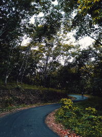 Road amidst trees in forest against sky