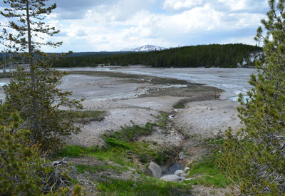 Scenic view of river amidst trees against sky