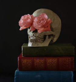 Close-up of red roses against black background