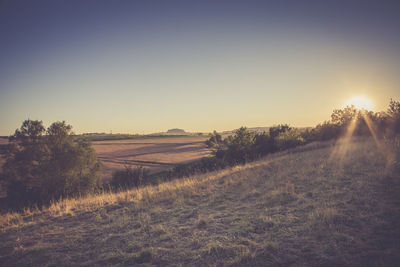 Scenic view of field against clear sky at sunset