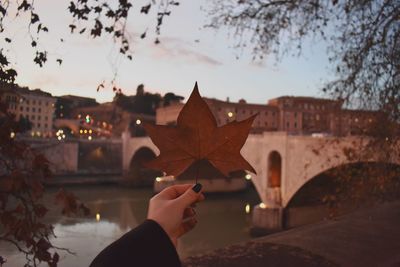 Close-up of person hand holding maple leaves against sky during autumn