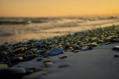 Close-up of pebbles on beach against sunset sky