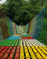 View of bridge amidst trees