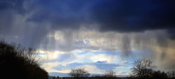 Low angle view of silhouette trees against dramatic sky