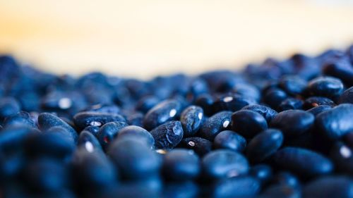 Close-up of black coffee beans