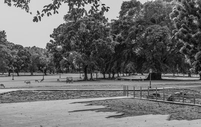 Trees on field in park against clear sky