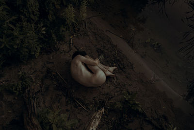 High angle view of naked girl lying on ground