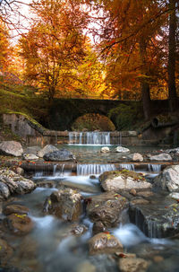Stream flowing in forest during autumn