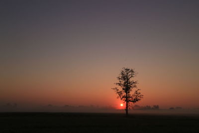 Silhouette tree against sky during sunset