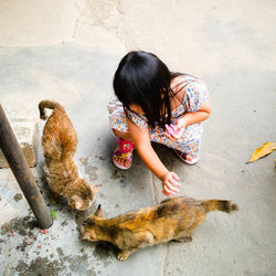 Girl playing with cats on footpath