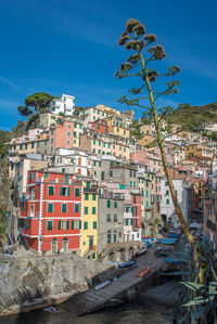 Boats on slope by buildings