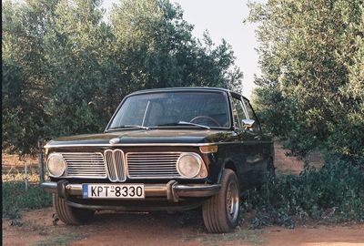 Abandoned car against trees