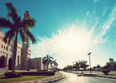 Street amidst palm trees and buildings against sky