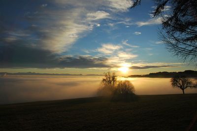 Scenic view of field against sky during sunset