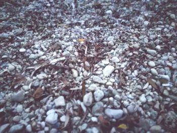 Full frame shot of snow