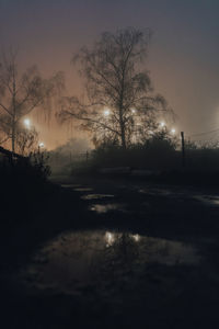 Silhouette trees on snow covered land against sky at night