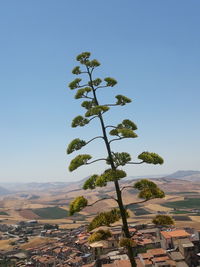 Scenic view of tree mountain against clear sky